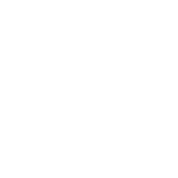 Bagaglio Tecnico